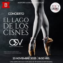 Presentación Lago de los Cisnes